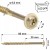 Wkrety-Ciesielskie-Wkrety-do-Drewna-Talerzowe-Torx- Klimas-WKCP-leb-plaski-6x60